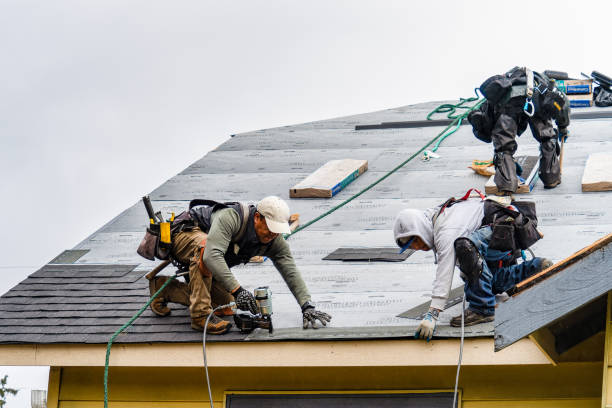 Professional Roofing technician working in Blair, WI